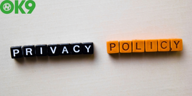 Các điều khoản trong chính sách bảo mật nhà cái OK9