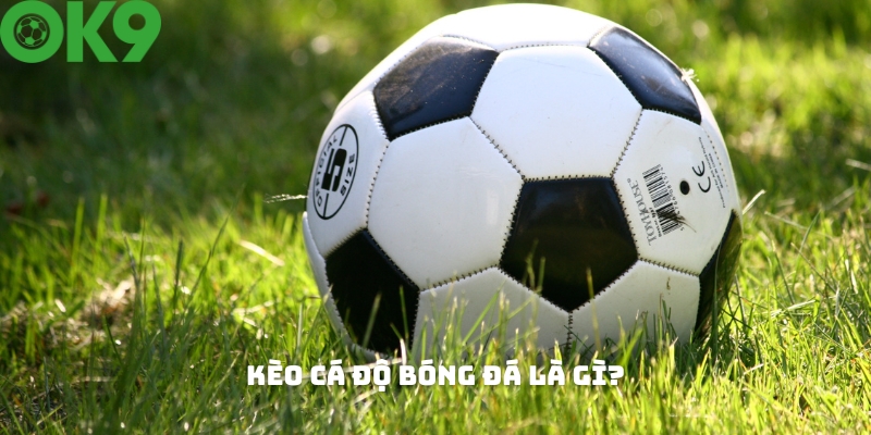 Khái niệm về kèo cá độ bóng đá Khái niệm về kèo cá độ bóng đá