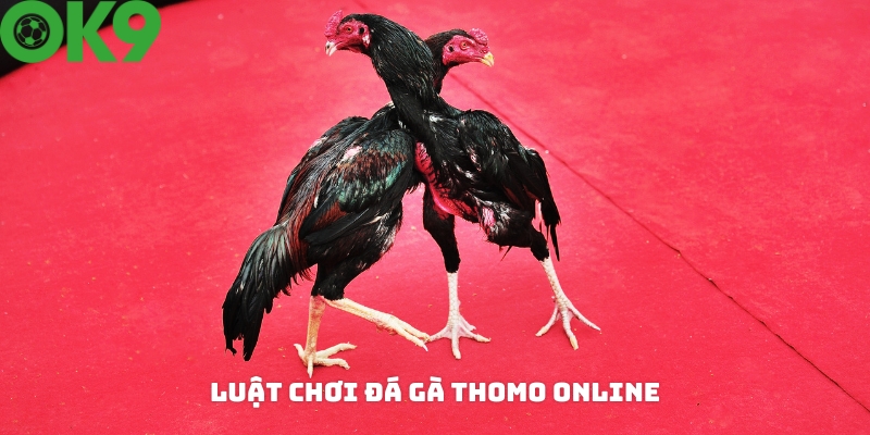 Luật cá cược đá gà Thomo online