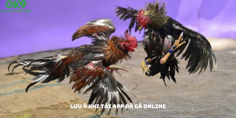 Các lưu ý khi tải app đá gà online