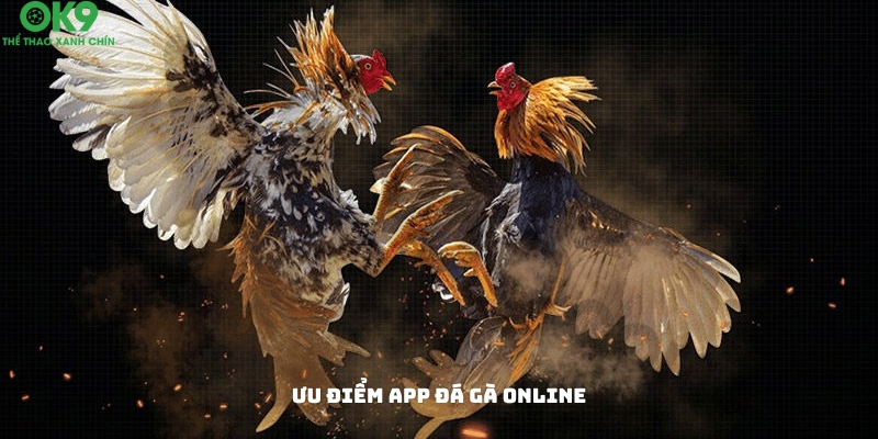 Các ưu điểm nổi bật của app đá gà online